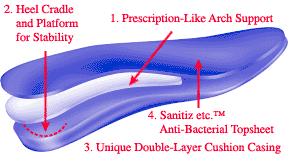 Powerstep Full Length orthotic arch supports layer view (artist rendition)